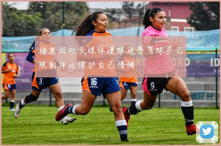 梅里诺社交媒体遭球迷辱骂球员已限制评论保护自己情绪